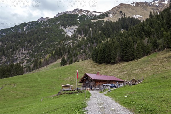 Naturalpe Gemstel-Schoenesboden-Alpe, Gemsteltal, Mittelberg, Kleinwalsertal, Vorarlberg, Allgaeu Alps, Austria, Europe