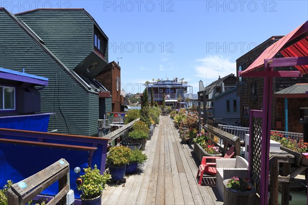 A path between colourful floating houses and flowers under a bright sky, San Francisco, North America, USA, South-West, California, California, North America