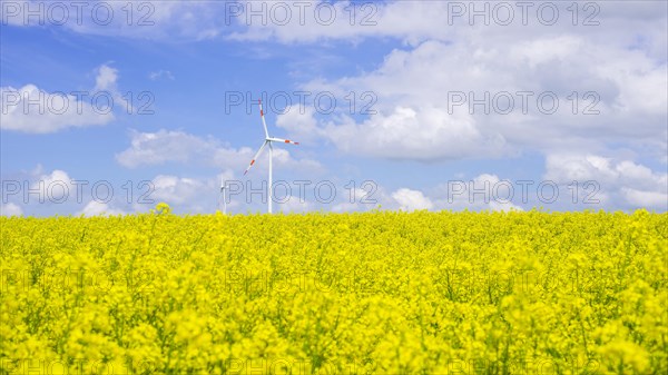 Tomerdingen wind farm, Swabian Alb, Baden-Wuerttemberg, Germany, Europe