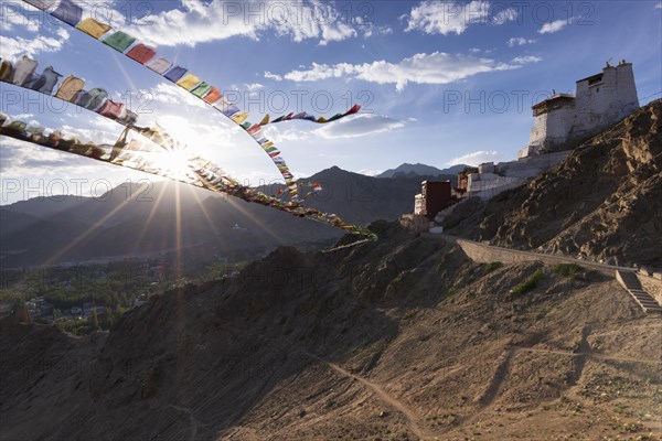 Namgyal Tsemo Gompa Monastery, Tsenmo Hills, Leh, Ladakh, Jammu and Kashmir, India, Asia