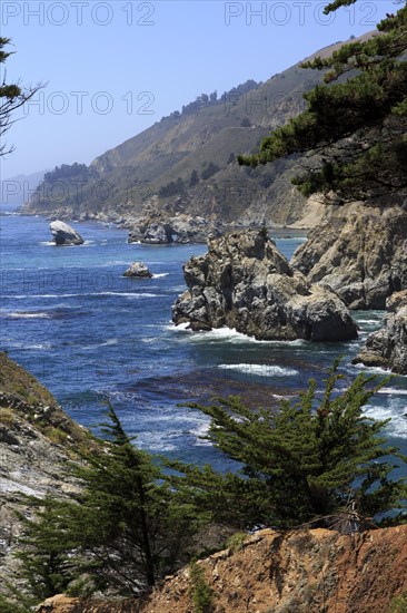 A rocky coast with trees falls steeply into the foamy sea, Big Sur Pfeiffer, US 1, North America, USA, South-West, California, California, North America
