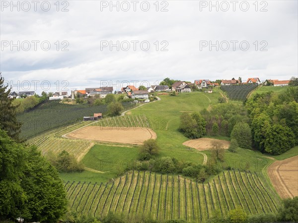 Arable land and wine-growing area, near Riegersburg, Styrian volcanic region near Riegersburg, Styria, Austria, Europe