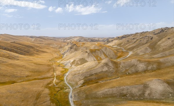 Aerial view, road winds through a mountain valley with hills of yellow grass, Naryn Province, Kyrgyzstan, Asia