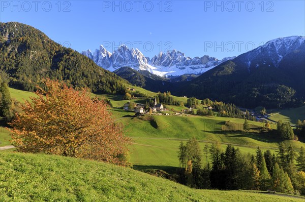 A mountain landscape with colourful autumn forests and snow-covered Pomeranians, Italy, Trentino-Alto Adige, Alto Adige, Bolzano province, Dolomites, Santa Magdalena, St. Maddalena, Funes Valley, Odle, Puez-Geisler Nature Park in autumn, Europe