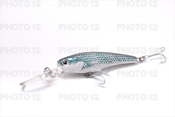 Fishing Lure