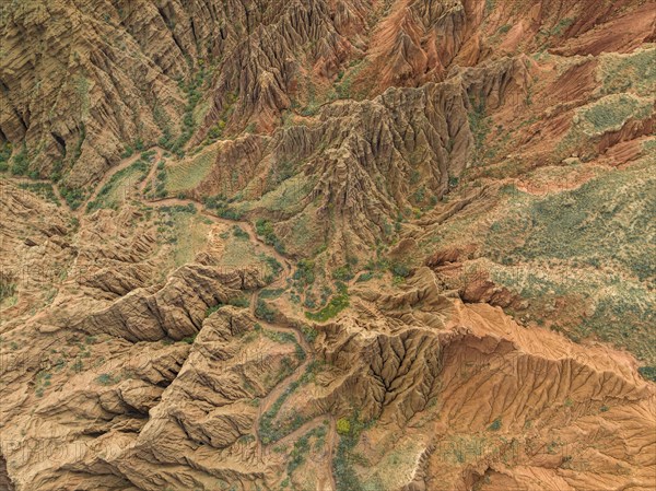 Top down view, gorge with eroded red sandstone rocks, Konorchek Canyon, Boom Gorge, aerial view, Kyrgyzstan, Asia
