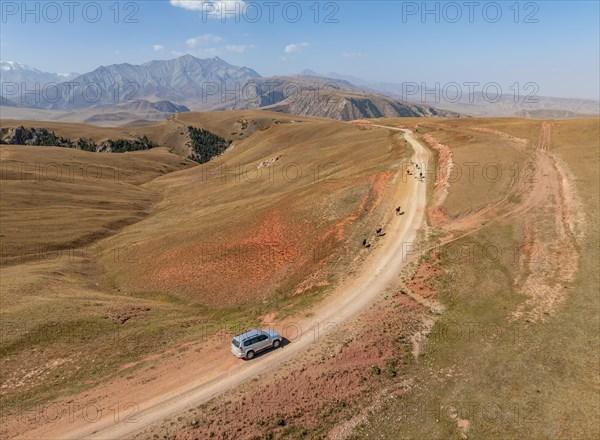 Moldo-Ashuu Pass, car on road between yellow hills, near Baetov, Naryn region, Kyrgyzstan, Asia