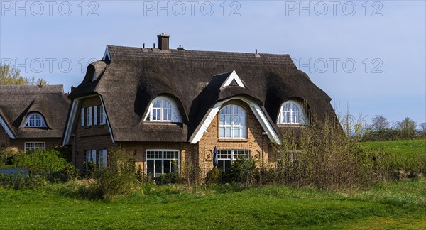 Holiday home development on the Baltic Sea beach, Ruegen, Mecklenburg-Vorpommern, Germany, Europe