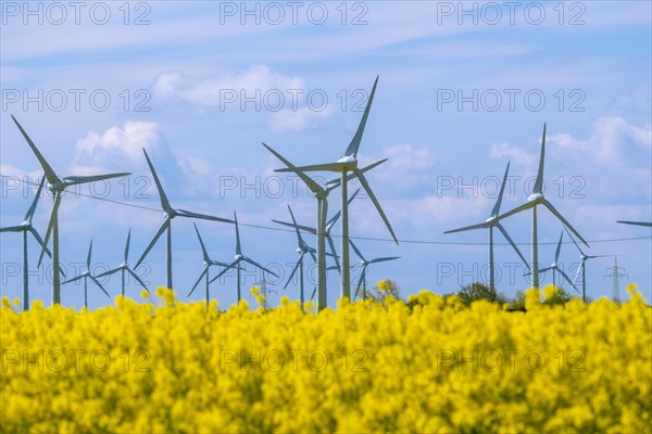 Wind turbines in the Luetetsburg wind farm behind a rape field on the North Sea coast, Hagermarsch, East Frisia, Lower Saxony, Germany, Europe