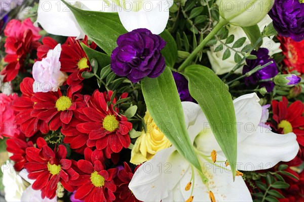 Colourful bouquet of white Lily, (Lilium candidum) red and purple flowers, flower sale, Hamburg Central Station, Hamburg, Hanseatic City of Hamburg, Germany, Europe