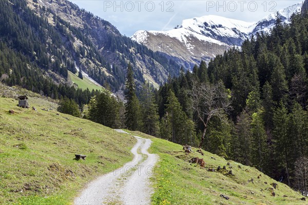 Dietersbachtal, rear saddle, near Oberstdorf, Allgaeu Alps, Oberallgaeu, Allgaeu, Bavaria, Germany, Europe
