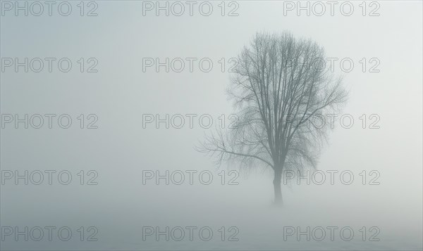 Dense fog caused by air pollution, environment and ecological problems AI generated