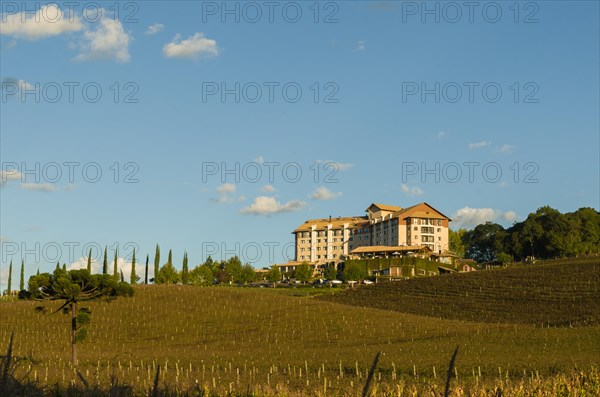 Bento Golcalves, Brasil, April 07, 2021: Luxury Winery, Vineyard of grapes in the Vale dos Vinhedos in Bento Goncalves, a gaucho wine