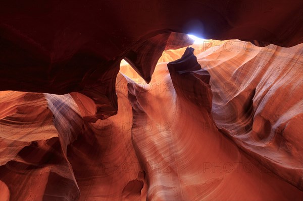 View up into a canyon with impressive rock formations during the blue hour, Upper Antelope Canyon, North America, USA, South-West, Arizona, North America