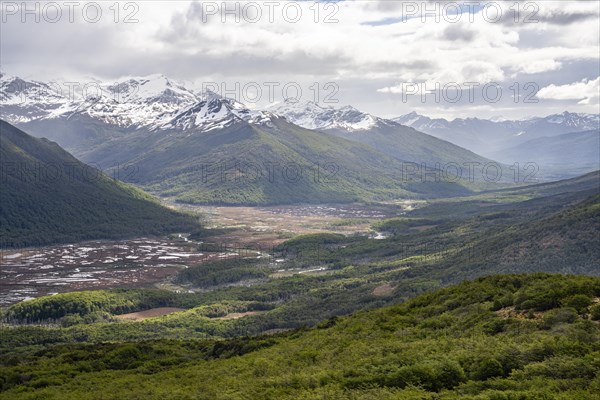 Wetland opposite Lago Deseado, Routa Y-85, Timaukel, Tierra del Fuego, Magallanes and Chilean Antarctica, Chile, South America