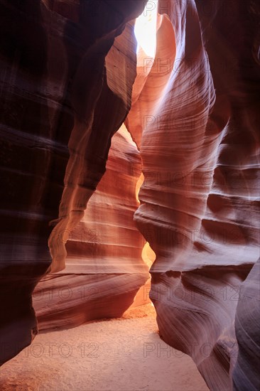 Sunshine breaks through the surface and bathes the crevice in a glowing light, Upper Antelope Canyon, North America, USA, South-West, Arizona, North America