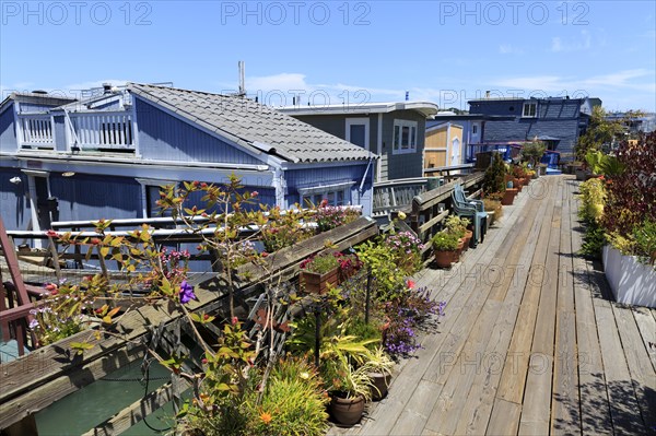 Blue and grey residential boats with colourful flowers in front of them on a sunny day, San Francisco, North America, USA, South-West, California, California, North America