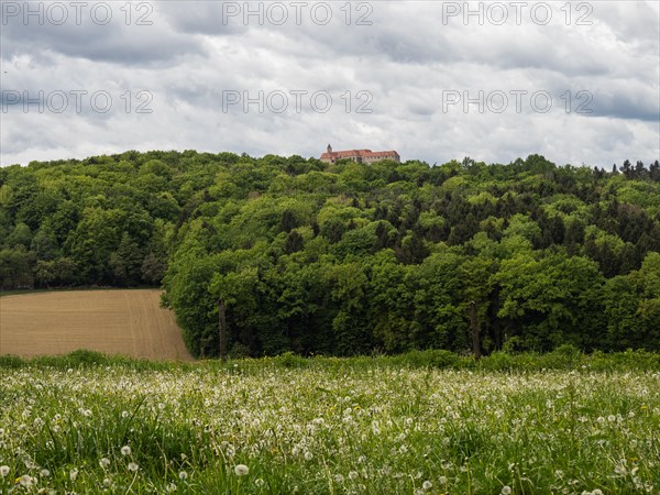 Meadow and forest edge, arable land, Riegersburg Castle in the background, near Riegersburg, Styrian volcanic region, Styria, Austria, Europe