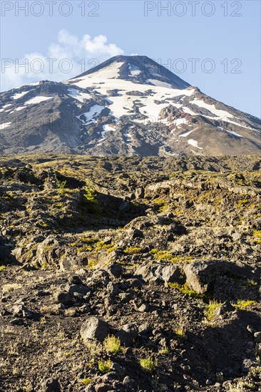 Villarrica Volcano, Villarrica National Park, Araucania, Chile, South America