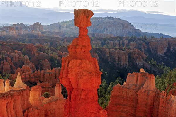 A striking hoodoo towers over a formation of rock towers, Thor's hammer, Bryce Canyon National Park, North America, USA, South-West, Utah, North America
