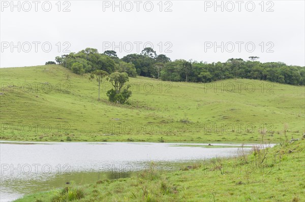 Landscape of the gaucho mountain range, Cambara do sul, Rio Grande do sul, Brazil, South America