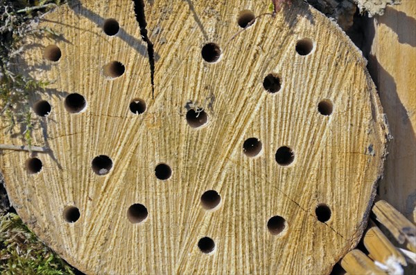 Nesting aid for wild bees and other insects with wooden logs, wild bee nesting aid, insect nesting aid, insect hotel