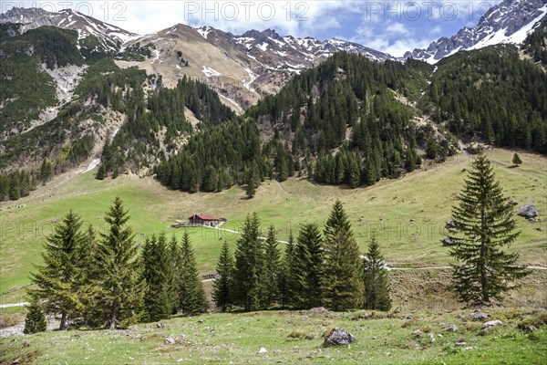 Gemsteltal, centre of Naturalpe Gemstel-Schoenesboden-Alpe, Mittelberg, Kleinwalsertal, Vorarlberg, Allgaeu Alps, Austria, Europe