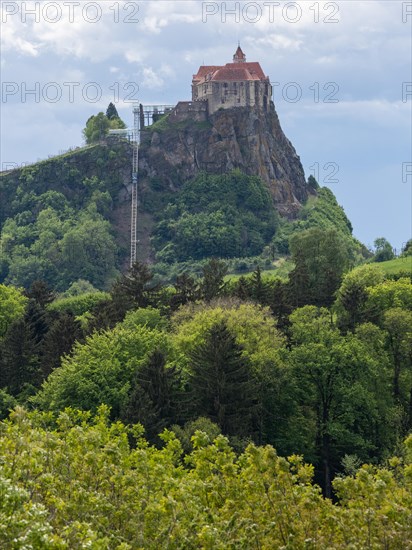 Forest edge, Riegersburg Castle in the background, Styrian volcanic country near Riegersburg, Styria, Austria, Europe