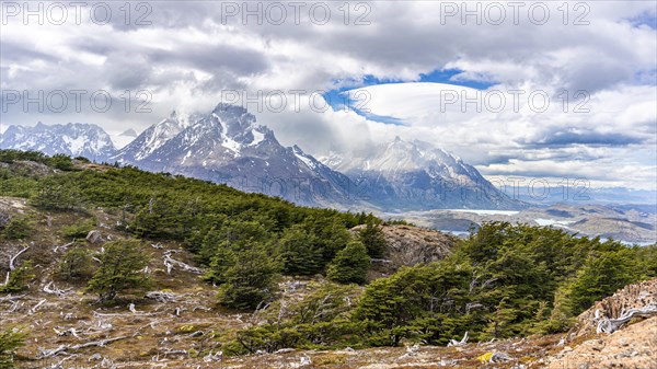 View on Paine Grande Mountain, Hike to Ferrier lookout, Torres de Paine, Magallanes and Chilean Antarctica, Chile, South America
