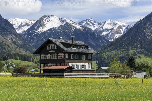 Haus Bergesruh, behind the mountains of the Allgaeu Alps, Oberstdorf, Oberallgaeu, Allgaeu, Bavaria, Germany, Europe