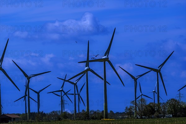 Wind turbines in the Luetetsburg wind farm on the North Sea coast, Hagermarsch, East Frisia, Lower Saxony, Germany, Europe