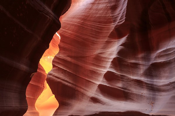 Warm rays of sunlight illuminate the undulating structures inside a rock cave, Upper Antelope Canyon, North America, USA, South-West, Arizona, North America