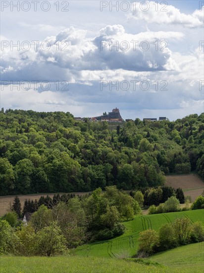 Meadow and forest, behind Riegersburg, Styrian volcanic region, Styria, Austria, Europe