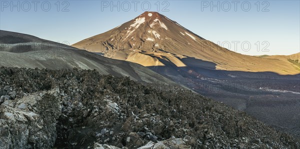 Lonquimay volcano, Malalcahuello National Reserve, Curacautin, Araucania, Chile, South America