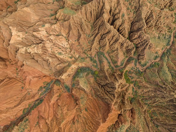 Top down view, gorge with eroded red sandstone rocks, Konorchek Canyon, Boom Gorge, aerial view, Kyrgyzstan, Asia