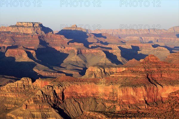 Early morning light colours the Grand Canyon in breathtaking shades of gold, Grand Canyon National Park, South Rim, North America, USA, South-West, Arizona, North America