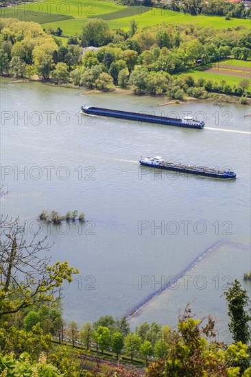 View from Drachenfels, mountain in the Siebengebirge on the Rhine with cargo ships between Koenigswinter and Bad Honnef, North Rhine-Westphalia, Germany, Europe