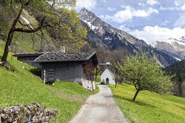 Old farmhouse in the historic mountain farming village of Gerstruben, Marienkapelle and Hoefats at the back, Dietersbachtal, near Oberstdorf, Allgaeu Alps, Oberallgaeu, Allgaeu, Bavaria, Germany, Europe