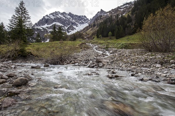 Gemstelbach, behind Widderstein, Gemsteltal, Mittelberg, Kleinwalsertal, Vorarlberg, Allgaeu Alps, Austria, Europe