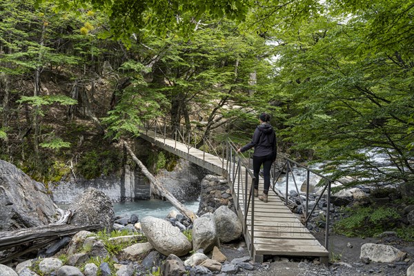 Young woman walking on bridge over meltwater stream, Base of Torres del Paine Hike, Torres de Paine, Magallanes and Chilean Antarctica, Chile, South America