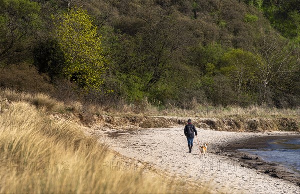 Walker with dog on the beach of Alt-Reddevitz, Ruegen, Mecklenburg-Vorpommern, Germany, Europe