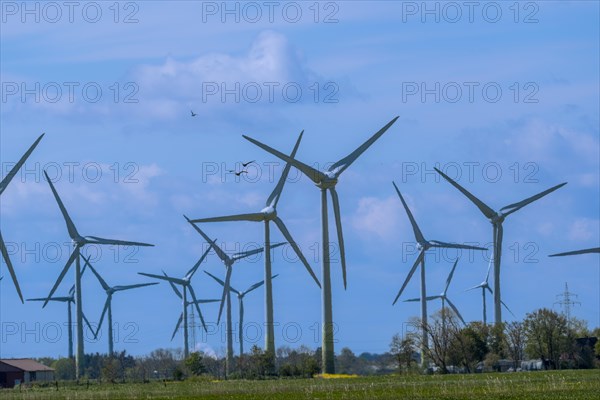 Wind turbines in the Luetetsburg wind farm on the North Sea coast, Hagermarsch, East Frisia, Lower Saxony, Germany, Europe