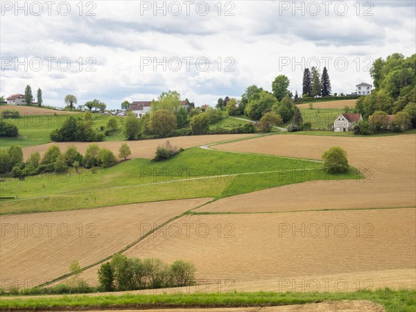 Field path leads through arable land, agricultural land, near Riegersburg, Styrian volcanic region, Styria, Austria, Europe