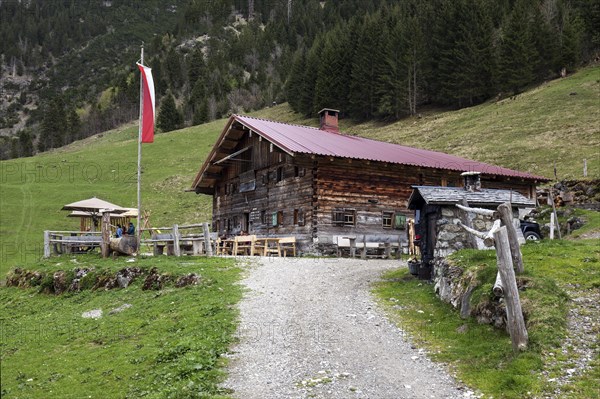 Naturalpe Gemstel-Schoenesboden-Alpe, Gemsteltal, Mittelberg, Kleinwalsertal, Vorarlberg, Allgaeu Alps, Austria, Europe