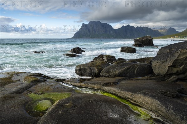 Seascape on the beach at Uttakleiv (Utakleiv), with rocks and green algae in the foreground. Mount Hogskolmen in the background. Sun and clouds. Early summer. Uttakleiv, Vestvagoya, Lofoten, Norway, Europe