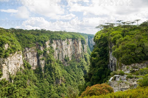 Beautiful landscape of Itaimbezinho Canyon and green rainforest, Cambara do Sul, Rio Grande do Sul, Brazil, South America