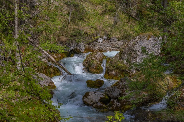 White water, Pinzgau, Stoissengraben