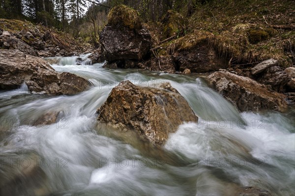 Gemstelbach, Gemsteltal, Mittelberg, Kleinwalsertal, Vorarlberg, Allgaeu Alps, Austria, Europe