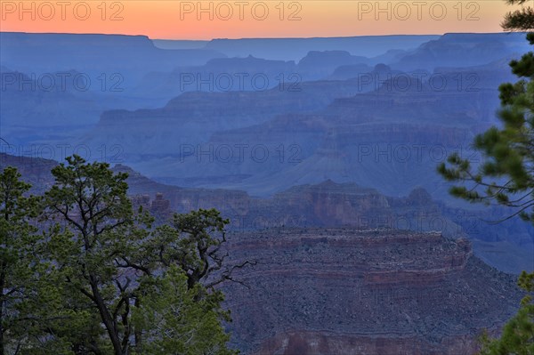 Blue hour over the Grand Canyon with visible silhouettes of trees and rocks, Grand Canyon National Park, South Rim, North America, USA, South-West, Arizona, North America