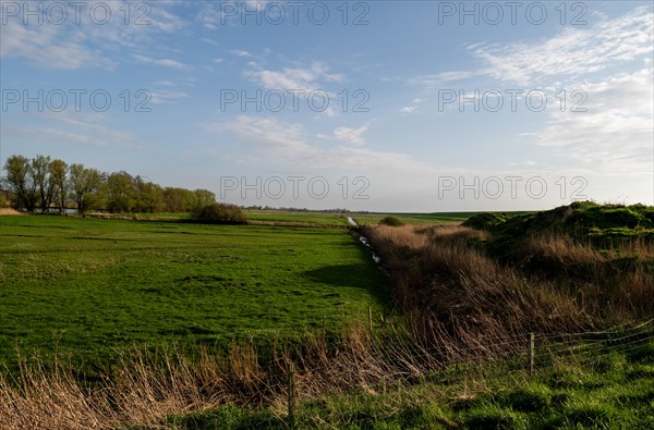 Landscape near Pogum, municipality of Jemgum, Leer district, Rheiderland, East Frisia, Lower Saxony, Germany, Europe